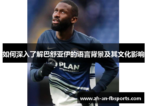 如何深入了解巴舒亚伊的语言背景及其文化影响 如何深入了解巴舒亚伊的语言背景及其文化影响