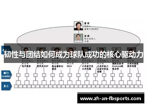 韧性与团结如何成为球队成功的核心驱动力 韧性与团结如何成为球队成功的核心驱动力
