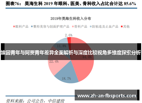 埃因青年与阿贾青年差异全面解析与深度比较视角多维度探索分析
